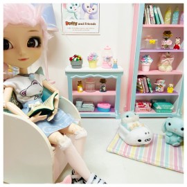 Pullip doll Bookshelf